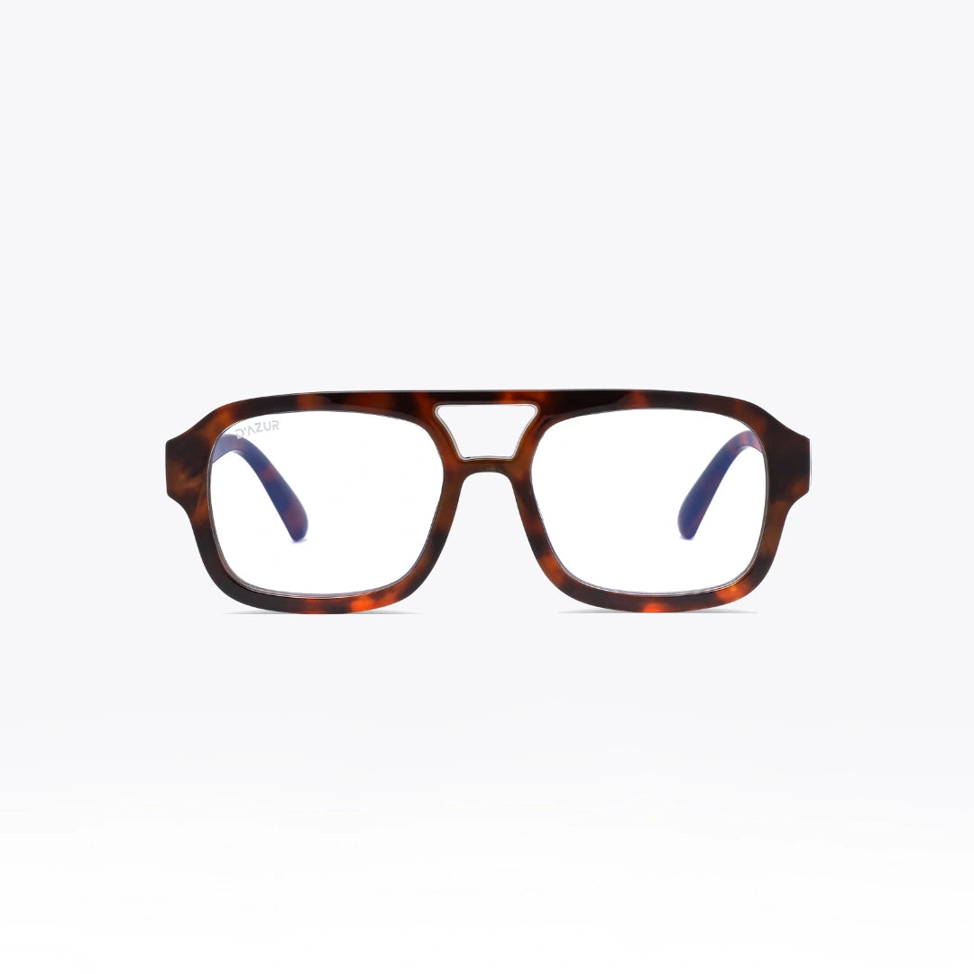 VENCE TORTOISE / CLAIR